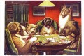 Tier wirkendem Human Hunde Spielkarten Lustiges Haustiere